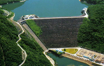 九�?�竜ダ�?