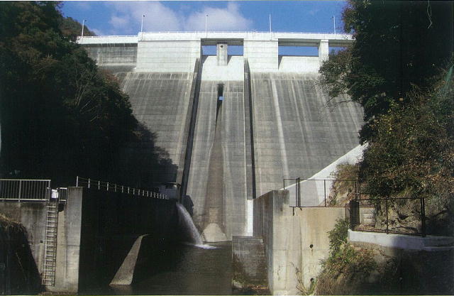 �?生ダ�?(再開発)