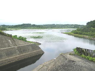 ���݂��_���΂�]��