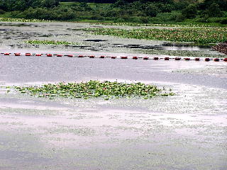 �Ζʂɕ����ԃn�X