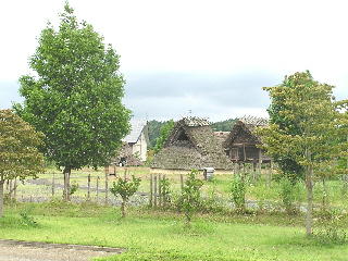 �G���Z���ƍ����q��