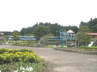 �A�X���`�b�N�{�݂Ɩ�O���я�