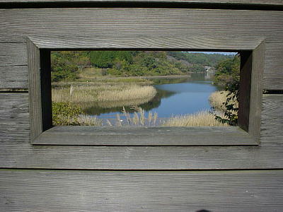 �����p�`��������̌i�F