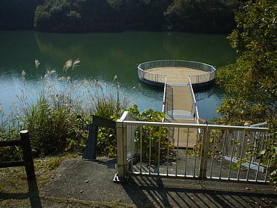 �����V���H