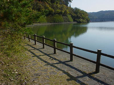 �ΔȂ̎U���H