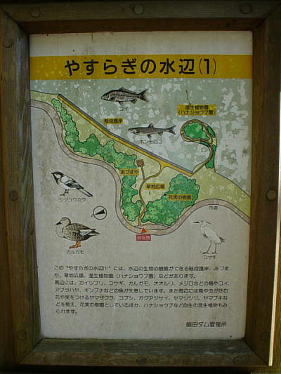 �����A�����i�n�i�V���E�u���j�ē��Ŕ�