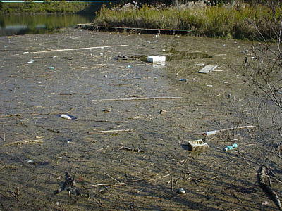 �H�̐������܂�Ɖ���������]