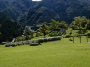 �_����������^�V��