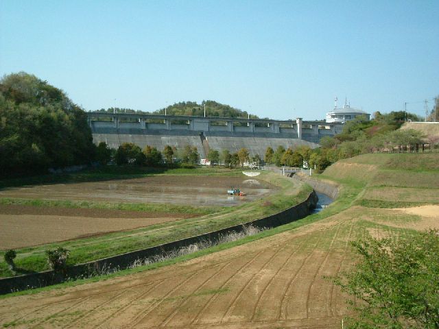 �ѓc�_���𐳖ʂ���]��