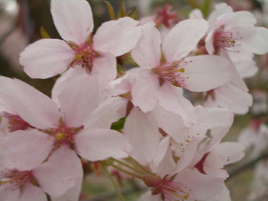 �^�J�g�I�R�q�K���U�N��