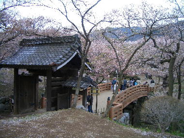 �������ɂ���L���ȁu���_���v