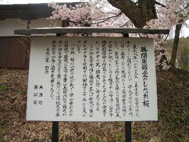 ��������̉��ɂ��������