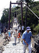 �ό��q�������ς��̖�e�݂苴