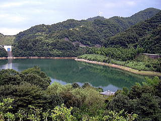 �㗬����茩���_����