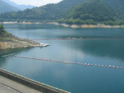 ���͓��_����̂�艜�����΂�]��