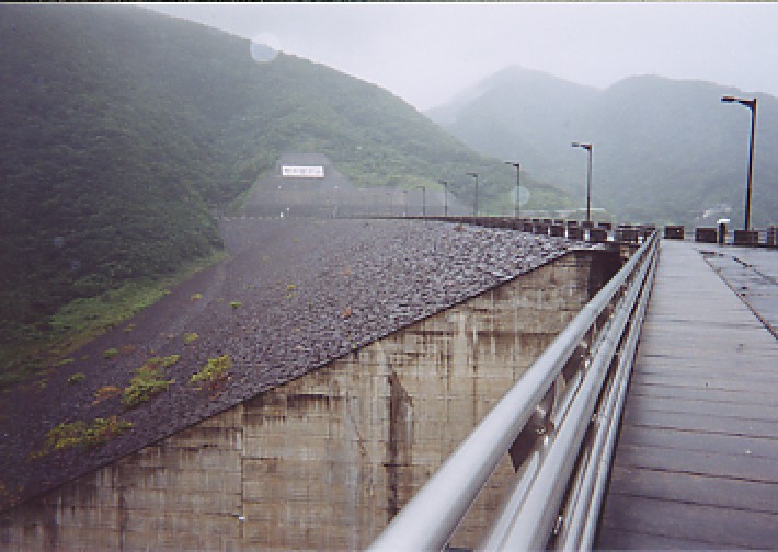 ���݂��E�݂�]��