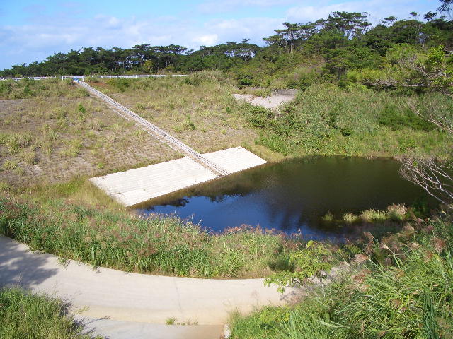 �����_��