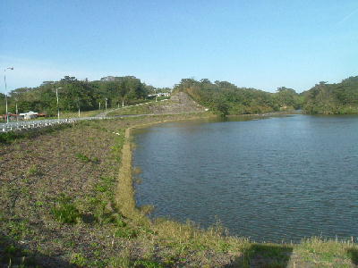 �ɐ咆���_��