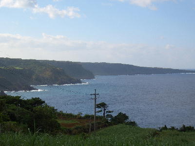 ���V���̎��R