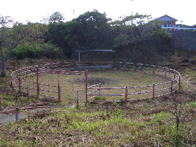 ���V���̓`������