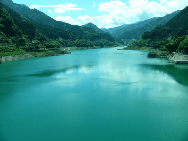 �ʐ^�i���j